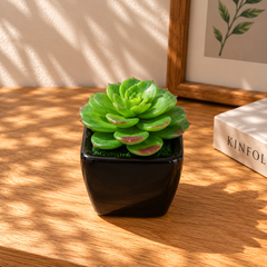 Mini Artificial Decorative Plant - Assorted