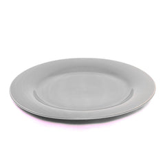 Dinner Plate Dim Grey 813009 G04