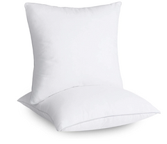 Habitt - Cushion Filling (18X18) - Habitt