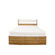 Jack Single Bed
